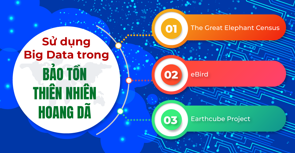VienISB_su-dung-big-data-bao-ton-thien-nhien-hoang-da-4